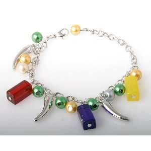  Charm Bracelet   Steel Chillies Jewelry