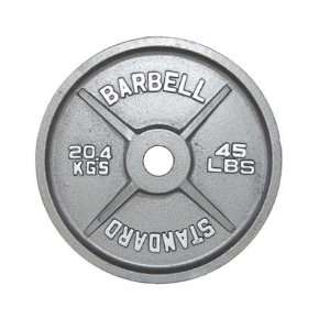  USA SPORTS 10 lbs. Gray Olympic Weight Plate (O 010 