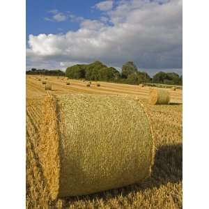 Bales of Hay, Ardmore Region, County Waterford, Munster, Republic of 