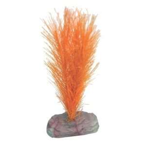  Soft Foxtail Size Medium, Color Orange