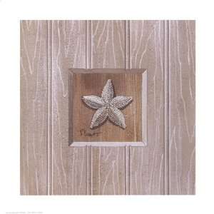   Starfish Finest LAMINATED Print Paul Brent 11x11