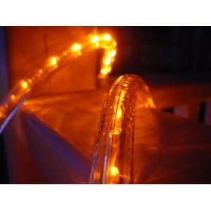 Orange 100 FT 110V 120V 2 Wire 1/2 LED Rope Light, Christmas Lighting 