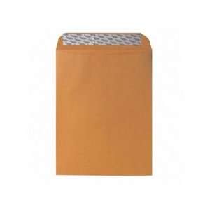  Sparco Sparco Plain Self Sealing Kraft Envelopes SPR19811 