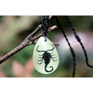  Real Amber Insect Necklace Jewelry Black Scorpion (Glow in the Dark 
