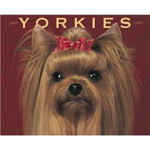  Just Yorkies 2009 Wall Calendar