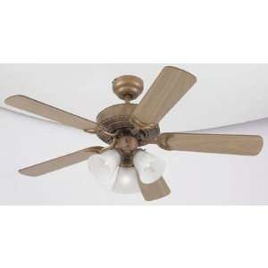 Newtown™ 5 blade 42 inch Ceiling Fan, Light Fixture with Frosted 