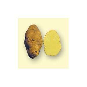Yellow Finn Potatoes   2 lbs.  Grocery & Gourmet Food