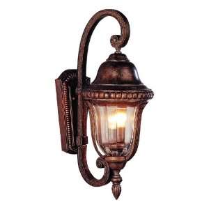  Trans Globe 4921 ABZ Outdoor Sconce
