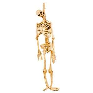  Skeleton Latex Full Body