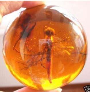 Big Beautiful sphere encrusted dragonfly ornament tibet Amber ball 