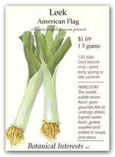 American Flag Leek Seeds   1.5 grams   Heirloom  
