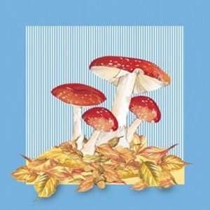 Mushrooms by Unknown 7x7  Industrial & Scientific