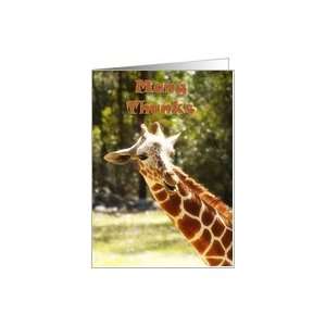Thank You Giraffe Card