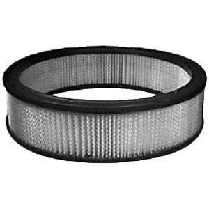  Hastings CFA3681 Air Filter Automotive