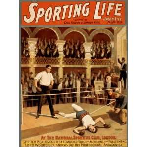  Pugilism Professional Boxing Boxer Sporting Life Club 