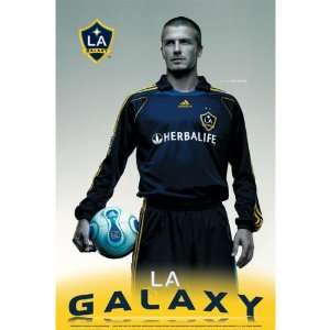  David Beckham LA Galaxy Poster