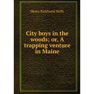  City boys in the woods; or, A trapping venture in Maine 