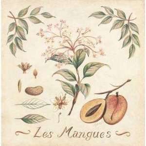 Mangoes Poster Print 