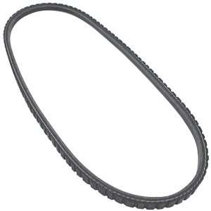  Allstar ALL86120 31.5 Length V Belt Automotive