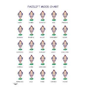  Face lift Mood Chart Birthday Greeting Card Everything 