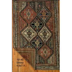    4x7 Hand Knotted Shiraz Persian Rug   48x74