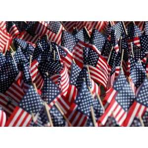    American Flags for 9/11 Victims Image Patio, Lawn & Garden