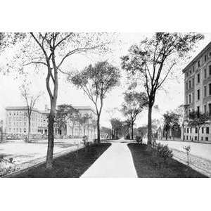  Vintage Art Barnard College of Columbia University, New 