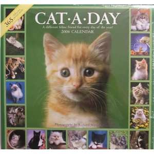  Cat a Day 2006 Calendar