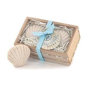   Breeze Sea Shell Shaped Soaps In Wooden Crate