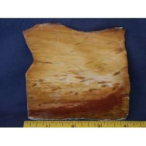   Very Rare Louisiana Petrified Palm Wood Slab, 7.24.19 