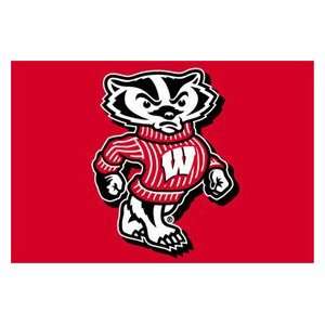 Wisconsin Badgers 20x30 Tufted Rug