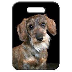  Set of 2 Dachshund   Wirehaired Luggage Tags Everything 