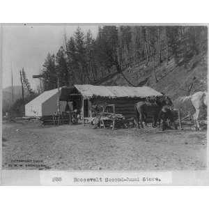  Idaho,Roosevelt second hand store,horses,c1903