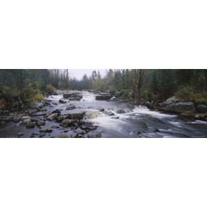 River Flowing Through a Forest, Black River, Adirondack Mountains, New 