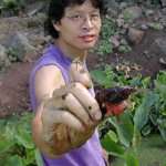 Its a shrimp Caught while working in a taro patch in Kailua, Hawai`i