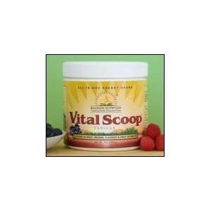   Vital Scoop Energy Shake (Vanilla) 255 g