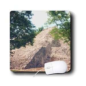  Florene Mexico   Mayan Temple   Mouse Pads Electronics