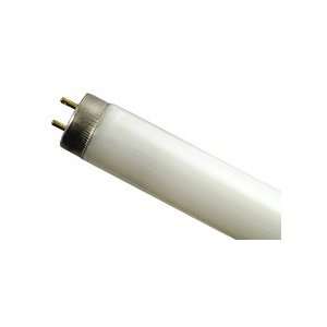   Fluorescent Bulb Cool White   Westinghouse 37323