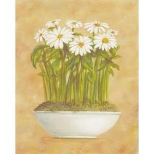 White Daisies by Cuca Garcia. Size 15.75 inches width by 17.37 inches 