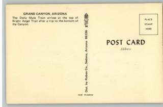 Postcard~Bright Angel Trail Mule Train~Grand Canyon,AZ  