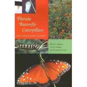  Florida Butterfly Caterpillars and Their Host Plants 