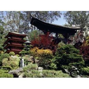  Japanese Tea Garden, San Francisco, California, USA Giclee 