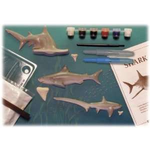  Cast & Paint Kit Shark