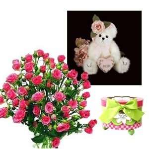  Valentine Flowers and Treats   Mommy Tenderheart Pink Spray 