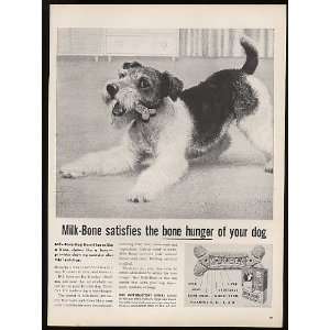  1959 Scottish Terrier Milk Bone Dog Biscuits Print Ad 