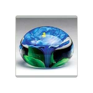  A Paperweight   Blue Carnation