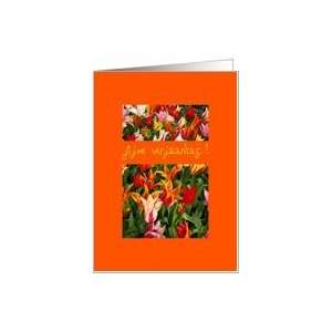  orange mixed tulips dutch birthday greeting Card Health 