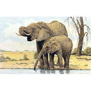  Charles Berry   Elephants By The Waterhole Canvas