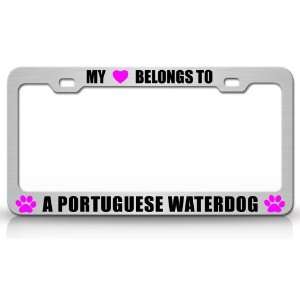  MY HEART BELONGS TO A PORTUGUESE WATERDOG Dog Pet Steel 