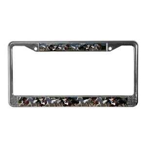  All the Pretty horses Animal License Plate Frame by 